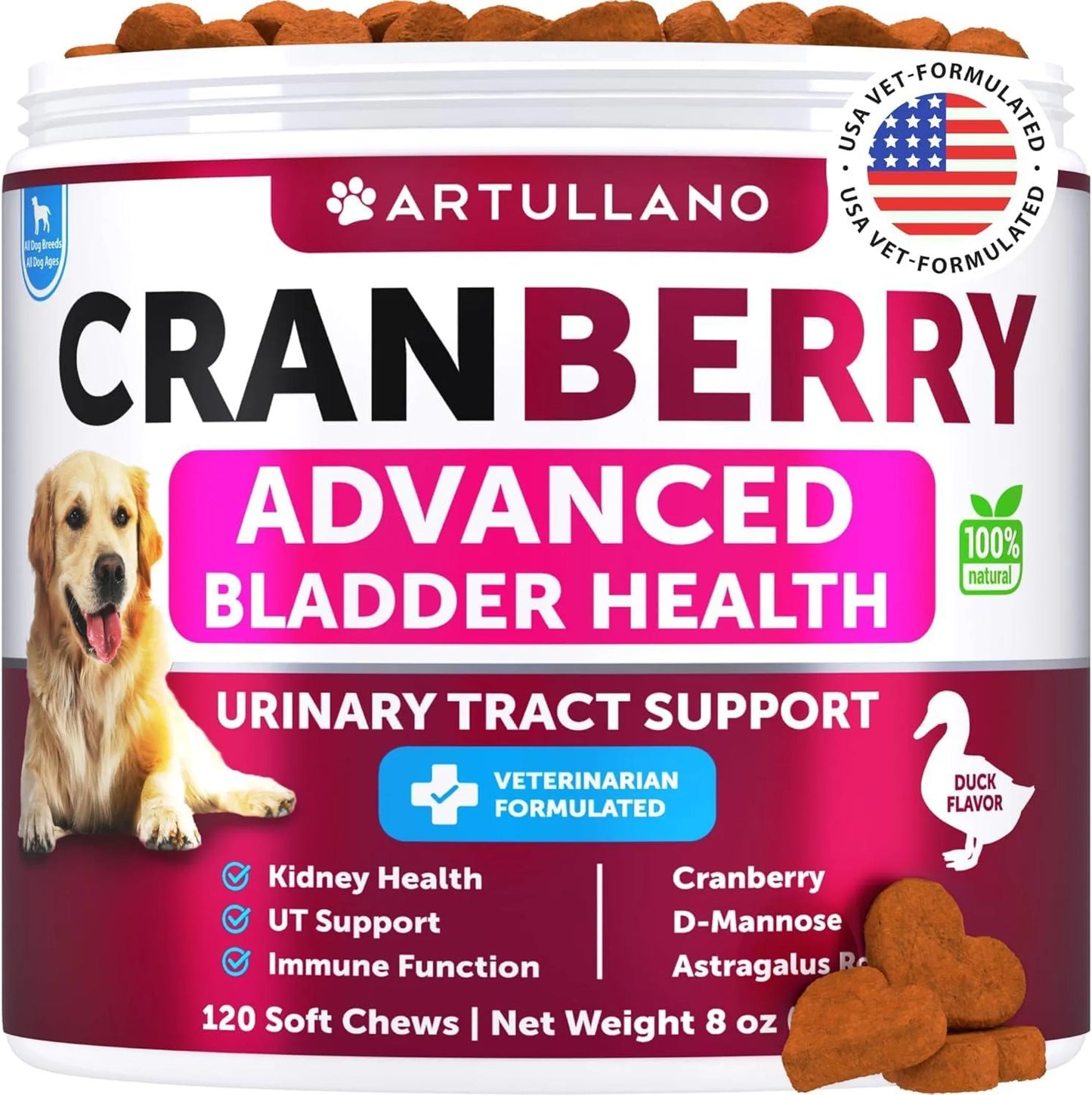 Dog UTI Treatment
