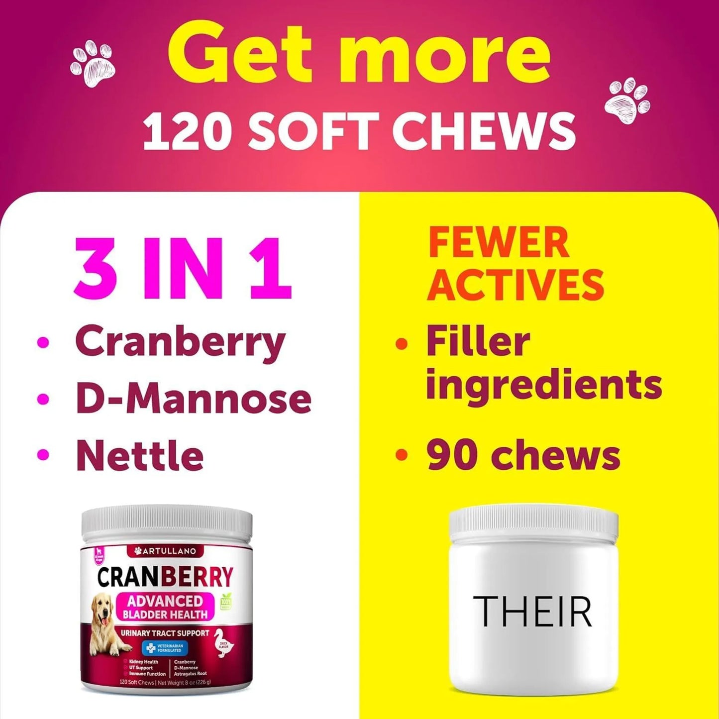 Dog UTI Treatment