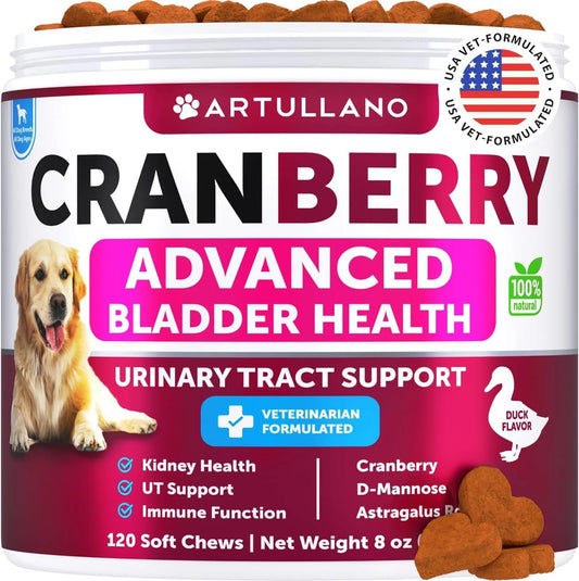 Dog UTI Treatment